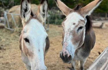 Relaxing Modern stay on a Ranch - Foto 52