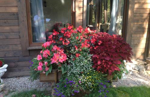 Zezuj Agroturystyka i Łowisko - Photo 42