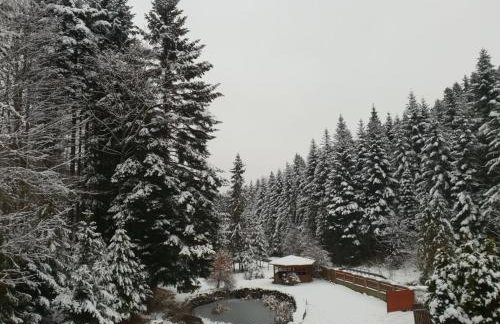 Rodzinny Dom Wypoczynkowy - Foto 8