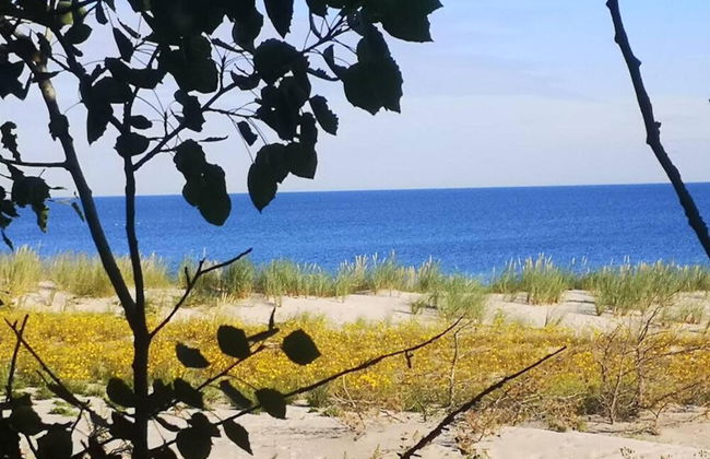 Ferienwohnung in der Mecklenburger Seenplatte - Foto 46