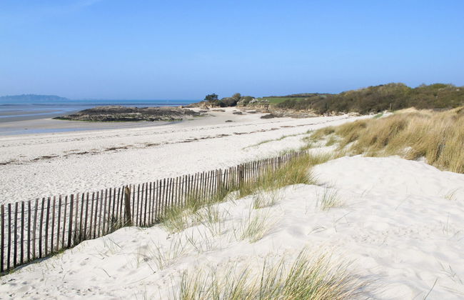 Bleu Marine - Foto 18