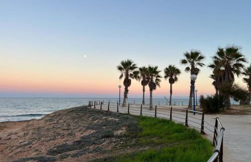 Palmview Poolside Heaven in Turquesa del Mar - Foto 74