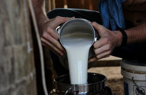 Cozy Cabin Rental and Cowboy Experience at a Tennessee Dude Ranch - Foto 15