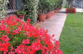 Agriturismo Borgo La Casetta - Foto 2