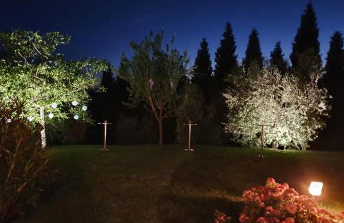 AGRIFOGLIO - Photo 29