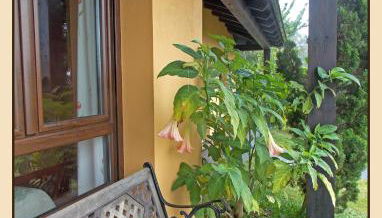 Apartamentos Guidan - Foto 2