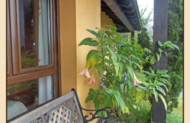 Apartamentos Guidan - Foto 2