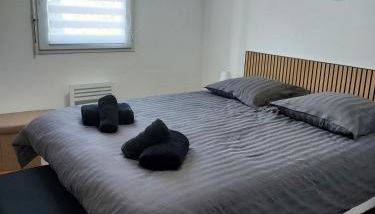 Petit appartement nérac - Foto 4