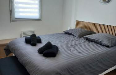 Petit appartement nérac - Foto 4