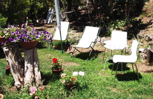 Le Mimose - Photo 24