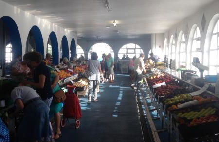 Casa rústica em Nisa Alentejo - Foto 20