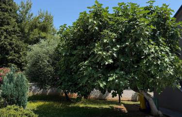 Villa Vida, Medulin - Bazen i jacuzzi - Foto 21