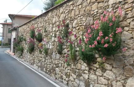 Casa di Giulia (Bambini gratis fino a 6 anni) - Foto 43