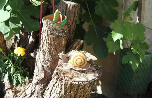 Gîte Le Cep d'Or Alsace - Foto 21