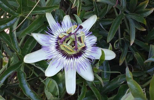 Stunning Villa Felipe, with private pool & hot tub - Foto 25