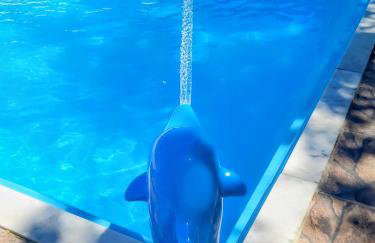 Chacara Rancho da Cris - Photo 52