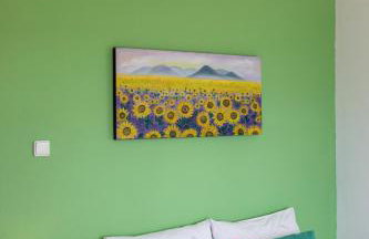 BS Village green - Photo 68