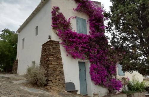 Vue mer, crique de Peyrefite, Cerbère-Banyuls. - Foto 31