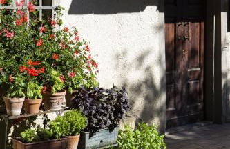 Agriturismo La Topaia - Foto 28