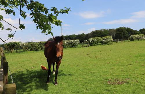 Dryfe Lodge - Foto 13