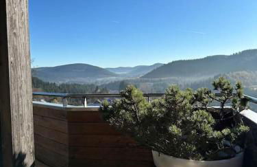 Chalet Villa Piscine vue panoramique sur Gérardmer et le Hohneck - Foto 10