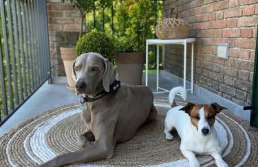 Tenuta Pizzone Wine Resort - Foto 6