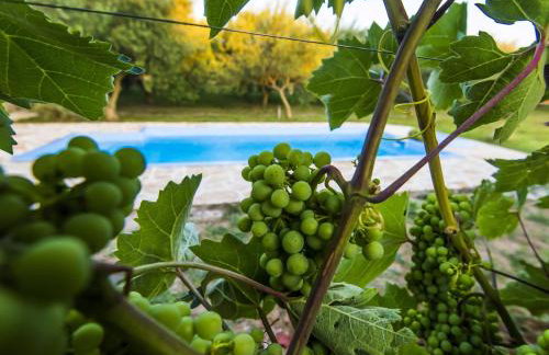 Holiday Home near Adriatic Sea and Krka Falls - Photo 38