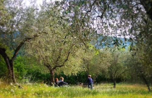 Agriturismo La Fontaccia - Foto 39