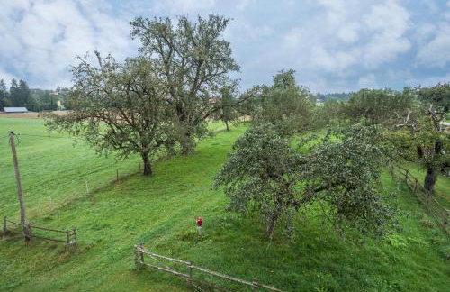 Ferienhof Wetzel Fewo 2 - Photo 25