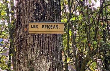 Gîte au nid de l’écureuil - Foto 21