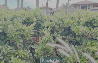 Coastal Getaway Steps to Beach & TPC Sawgrass - Foto 10