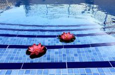 Villa Flor de Loto - Foto 29