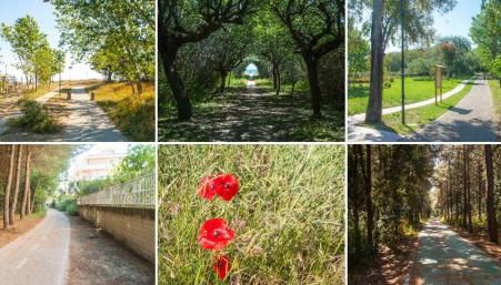 eli 's home - Foto 3