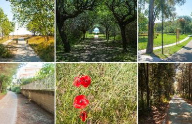 eli 's home - Foto 3