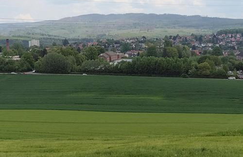 Olifant in Osterode - Foto 74