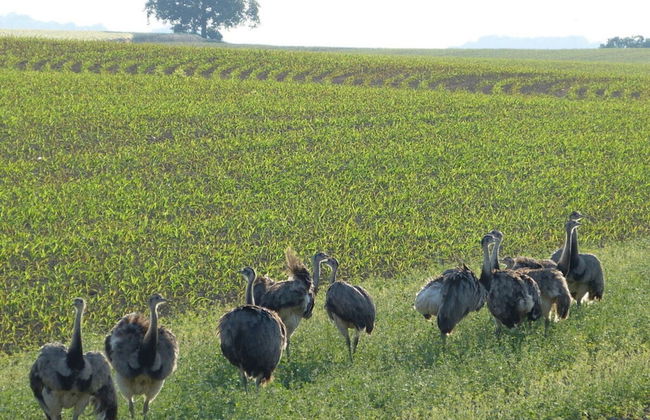 Fine Stuuv Comfortable Holiday Residence - Foto 23