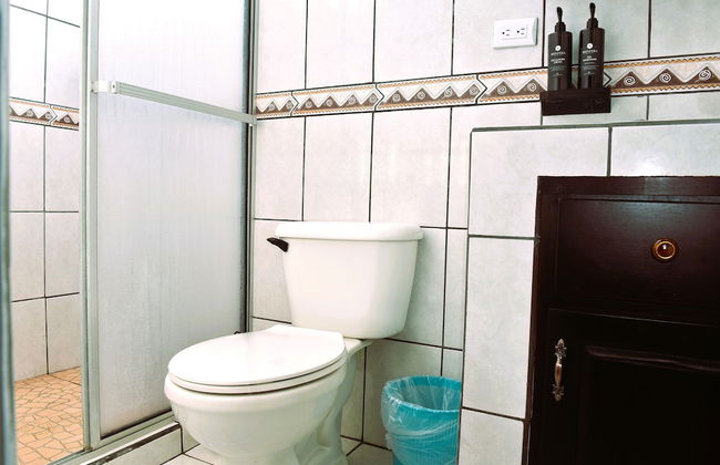 Papaya Dreams - Foto 29