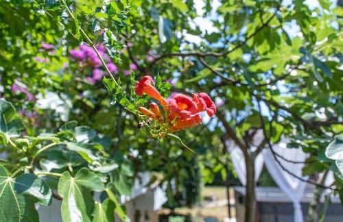 Villa Nada, green paradise by the sea and beaches - Foto 12