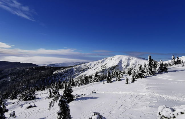 Cerny Dul Kcl062-b in Cern Dul - Photo 30