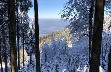 Schwarzwaldhimmel - Foto 30