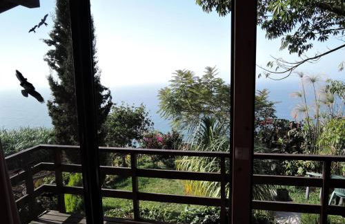 Holiday Home in Canhas mit Schönem Garten by Interhome - Foto 21