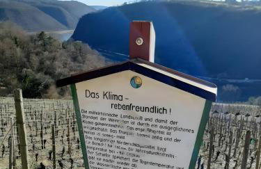 Auszeit Rheingauer Rosengasse - Foto 24