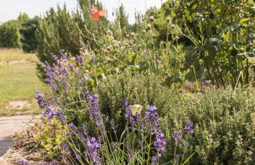 Brunnenhaus Land-Idylle in der Stadt - Foto 29