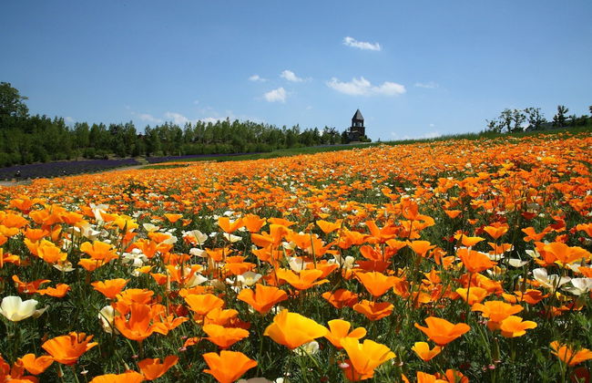 PRIMAL 2002 - Photo 74