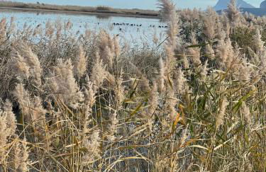 Hola Casa La Sella - Foto 21