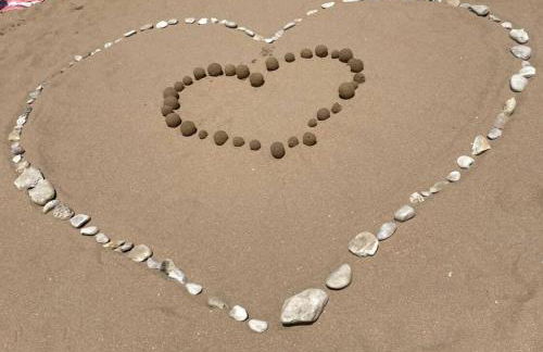 La petite Croisière - Vue Mer - Photo 7