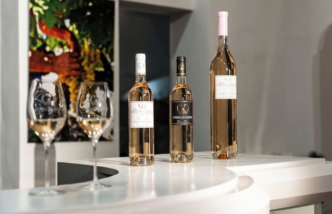 Château les Crostes - Foto 52