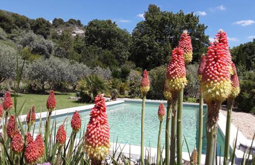 la petite maison - Foto 4