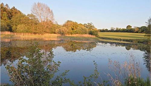 Astwell Mill Luxury Shepherds Hut - Foto 4