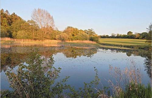 Astwell Mill Luxury Shepherds Hut - Photo 4